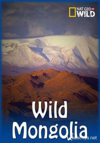  :  .    / Wild Mongolia. Land of Extremes (2018) HDTV 1080i