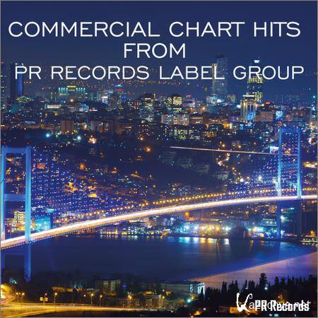 VA - Commercial Chart Hits From PR Records Label Group (2019)