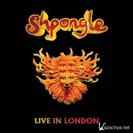 Shpongle - Live in London 2013 (2019)