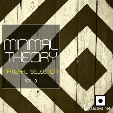 Minimal Theory, Vol. 3 (Natural Selection) (2019)