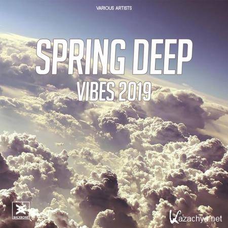 Spring Deep Vibes 2019 (2019)