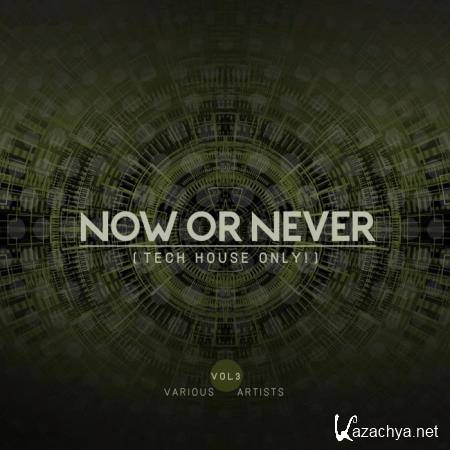 Now Or Never, Vol. 3 (Tech House ONLY) (2019)