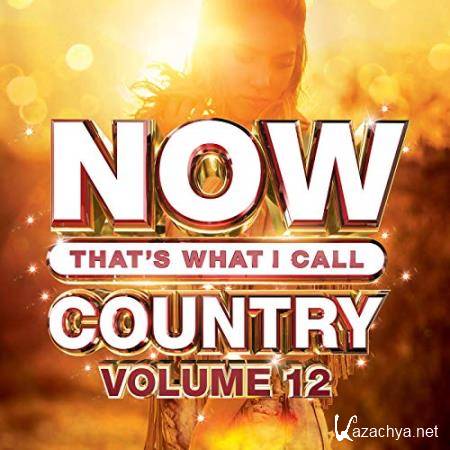 Now That's What I Call Country Vol 12 (2019) FLAC