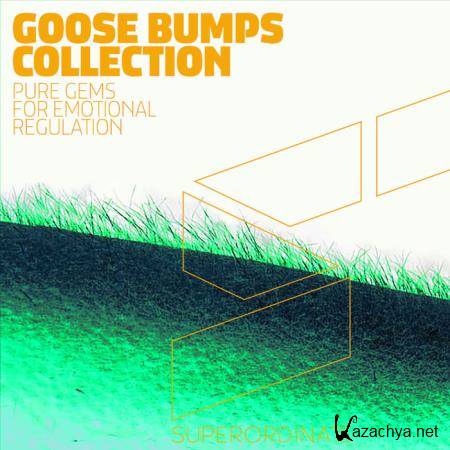 Proton LLC - Goose Bumps Collection (2019)