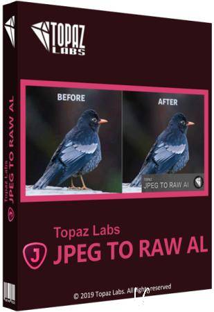 Topaz JPEG to RAW AI 2.1.1