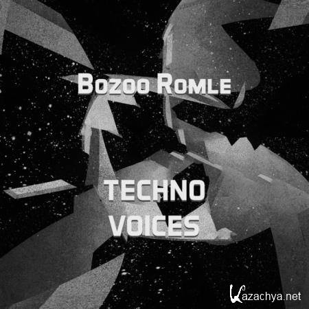 Bozoo Romle - Techno Voices (2019)