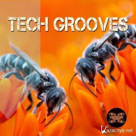 Tech Grooves (2019)