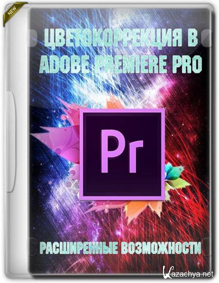   Adobe Premiere PRO.   (2019) HDRip