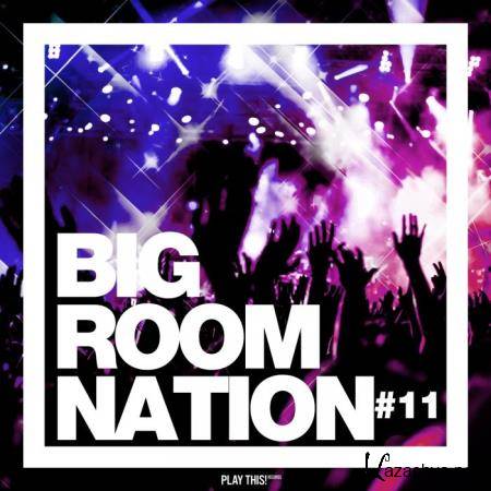 Big Room Nation, Vol. 11 (2019)
