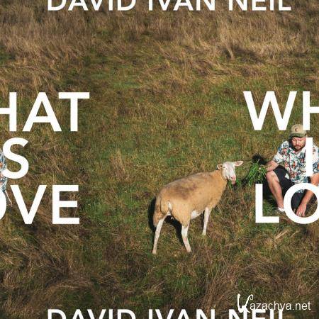 David Ivan Neil - What Is Love (2019)