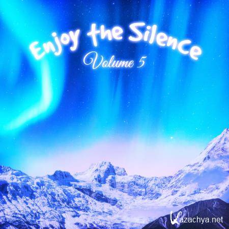 Enjoy the Silence, Vol. 5 (2019)