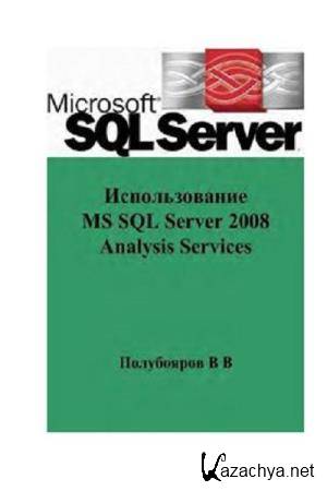 ..  -  MS SQL Server 2008 Analysis Services    