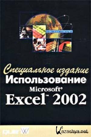   -  Microsoft Excel 2002.  