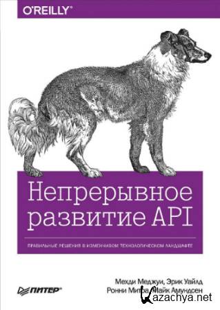   API.       (2019) PDF
