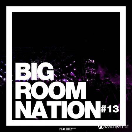Big Room Nation, Vol. 13  (2019)