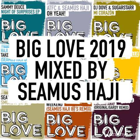 Big Love 2019 Mixed By Seamus Haji (2019)