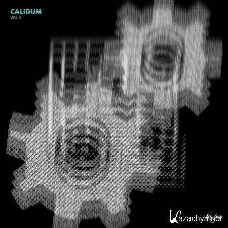 Calidum Vol 3 (2019)
