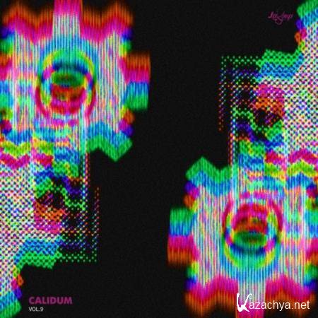 Calidum Vol 9 (2019)