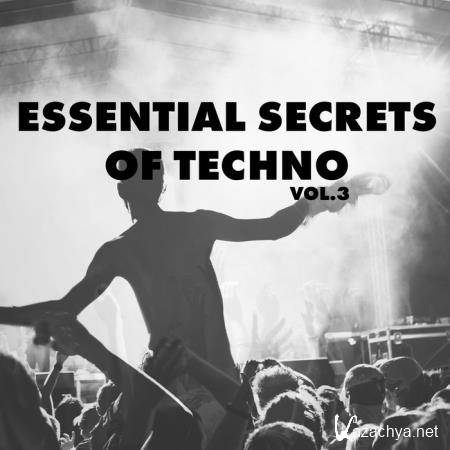 Essential Secrets of Techno, Vol. 3 (2020)