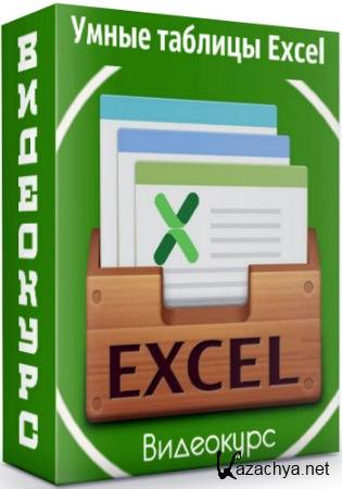   Excel (2020) 