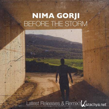 Nima Gorji - Before The Storm (2020) FLAC