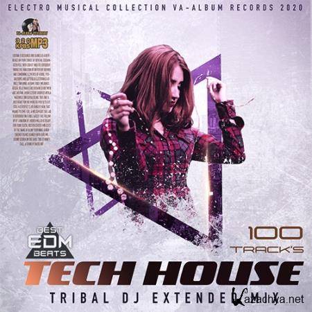 Tribal DJ Tech House (2020)