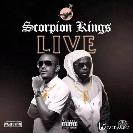 Kabza De Small - Scorpion Kings Live (2020)