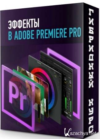  Adobe Premiere Pro -   (2020) PCRec