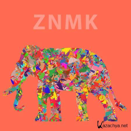 ZNMK - Fotuner (2020)