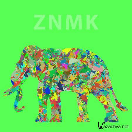 ZNMK - House Power (2020)