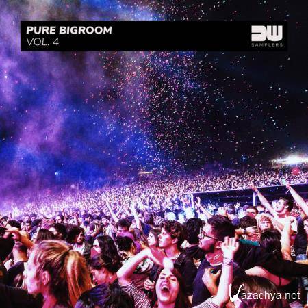 Pure Bigroom, Vol. 4 (2020)