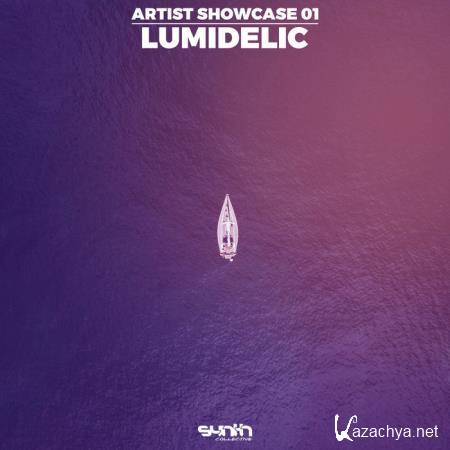 Artist Showcase 01: Lumidelic (2020)