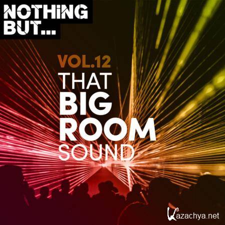 Nothing But... That Big Room Sound Vol 12 (2020) 
