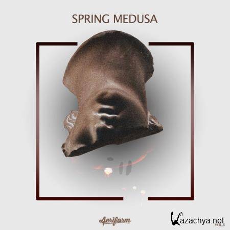 Spring Medusa, Vol. 8 (2020)