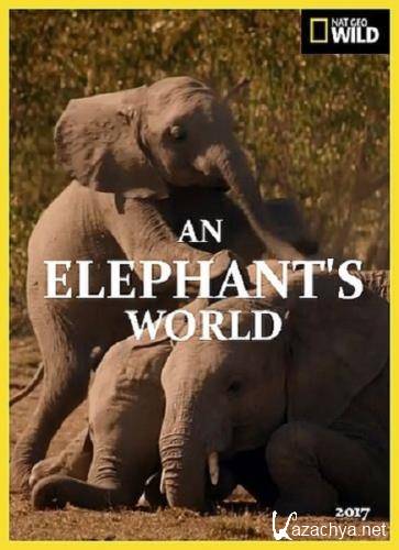  .   / An Elephant's World (2017) HDTV 1080i