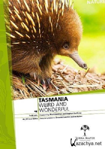 :    / Tasmania  Weird and Wonderful (2018) HDTVRip 720p