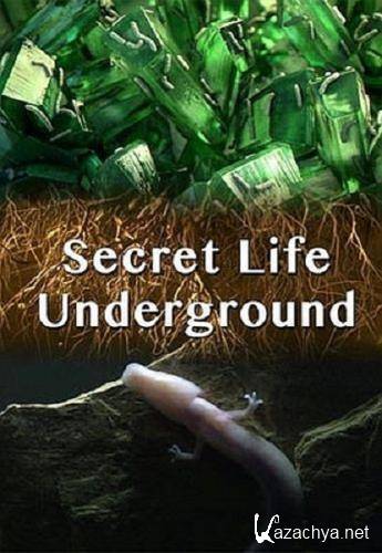    / Secret Life Underground (2015) HDTV 1080i