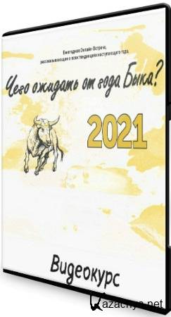 2021       (2020) 