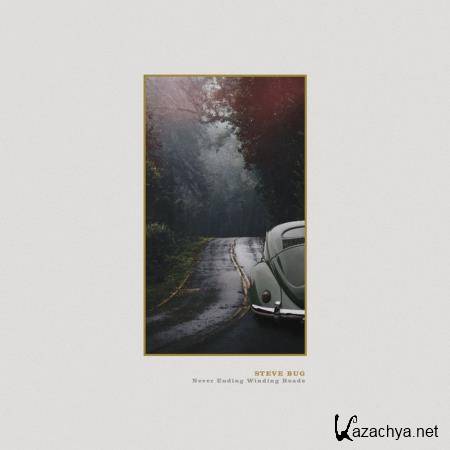 Steve Bug - Never Ending Winding Roads (2020)