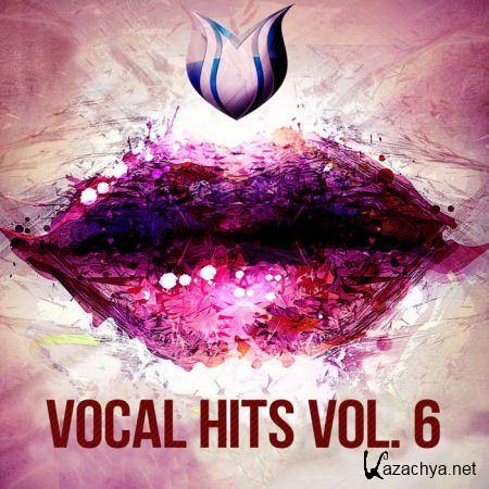 Vocal Hits Vol. 6 (2020)