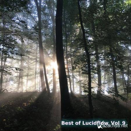 Best Of Lucidflow, Vol. 9 (2020)