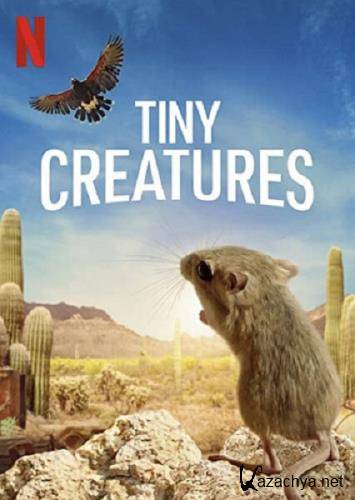 Крошечные существа / Tiny Creatures (2020) WEBRip 720p