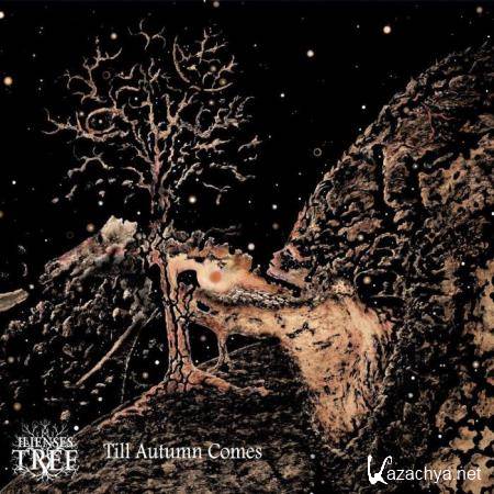 Ilienses Tree - Till Autumn Comes (2020)