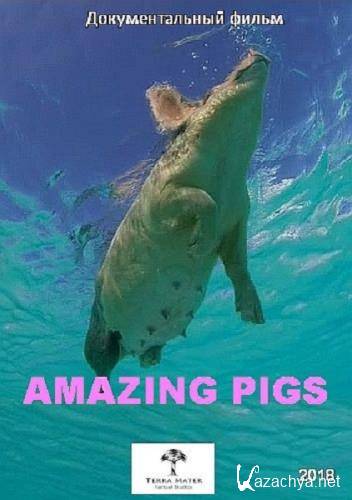  / Amazing Pigs / Die fabelhafte Welt der Schweine (2018) HDTV 1080i
