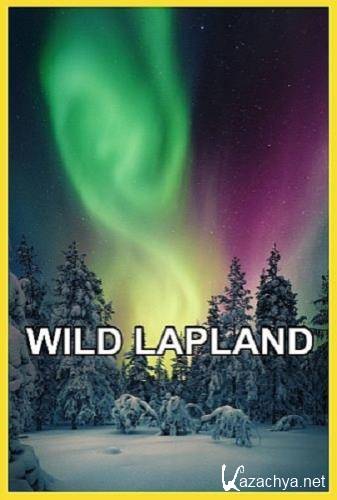  / Wild Lapland (2019) HDTV 1080i