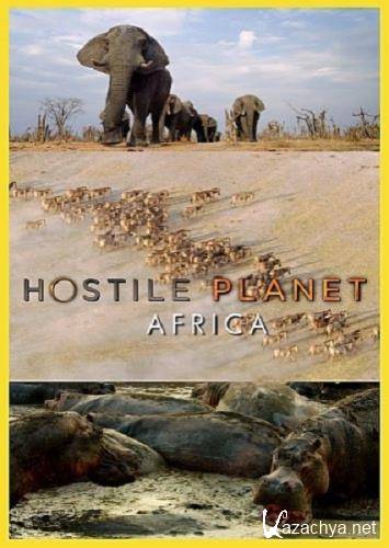  :  / Hostile Planet: Africa (2020) HDTV 1080i