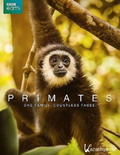  / Primates (2020) DVB
