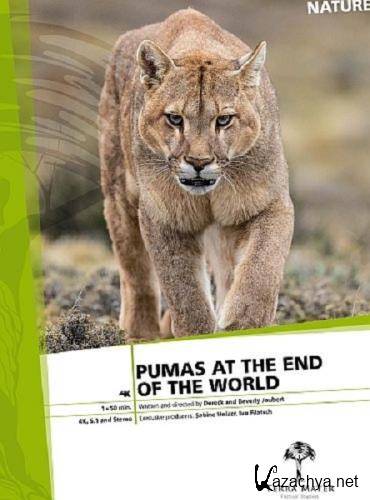     / Pumas At The End of The World (2020) HDTV 1080i