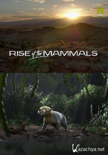   / Rise of the Mammals (2019) HDTV 1080i