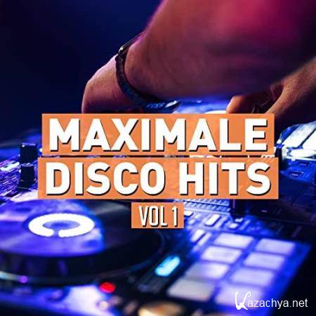 Maximale Disco Hits 2021 (2021)